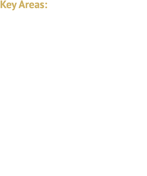Key Areas: Increasing Restrictions Artificial Intelligence Salary Test Increases 