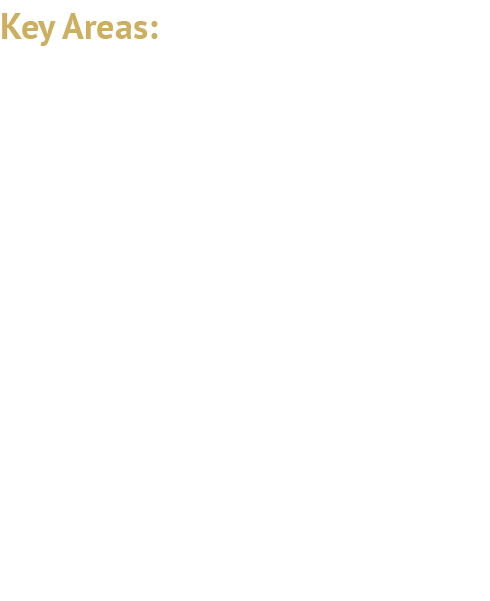 Key Areas: Legislative Monitoring and Policy Sales Tax Compliance and Audits Controversy and Class Action Suits 