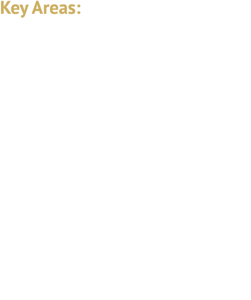 Key Areas: Federal Tax Legal Services Transfer Pricing Assistance (Including Competent Authority Proceedings) Federal...