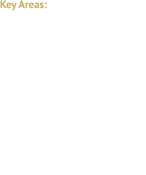 Key Areas: Sector Consolidation Cross Border Activity Regulatory Scrutiny 