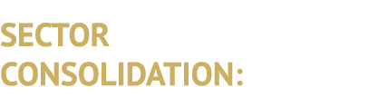 SECTOR CONSOLIDATION: