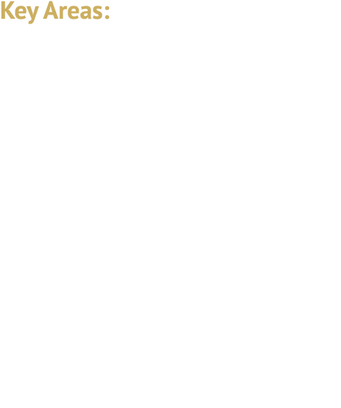 Key Areas: Intellectual Property Questions Data Input Questions Data Output Questions Combatting Accuracy and Bias Li...