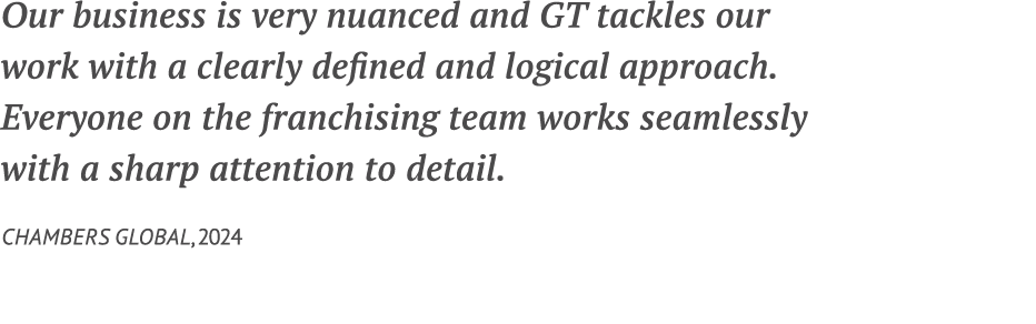 Our business is very nuanced and GT tackles our work with a clearly defined and logical approach. Everyone on the fra...