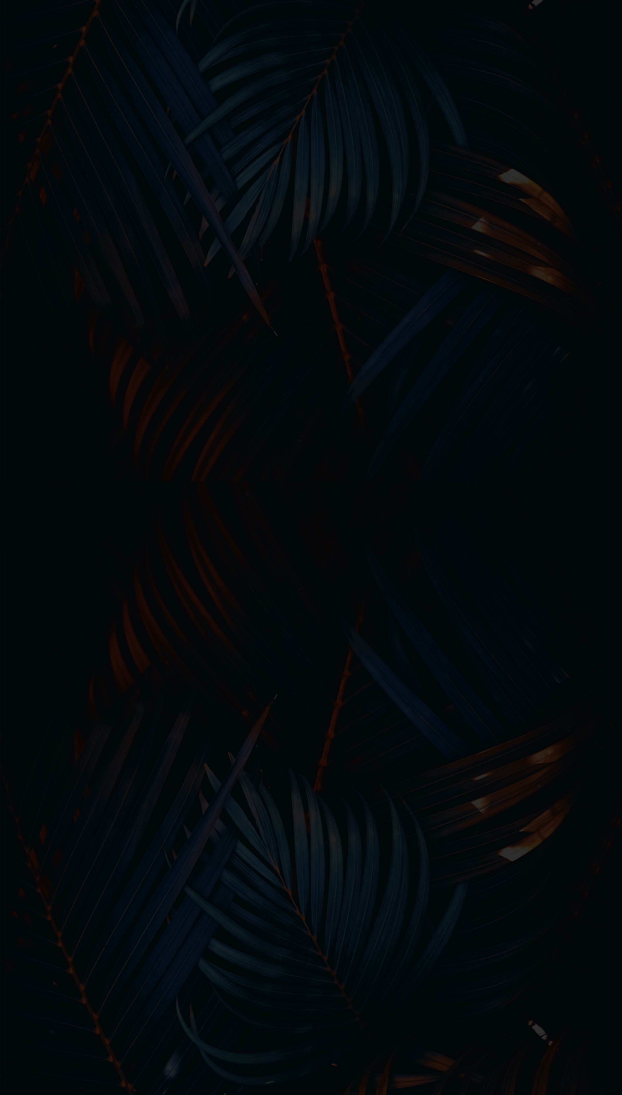 Green palm leaf pattern texture abstract background. Copy space for graphic design tropical summer and nature environment concept. Vintage tone filter effect color style.