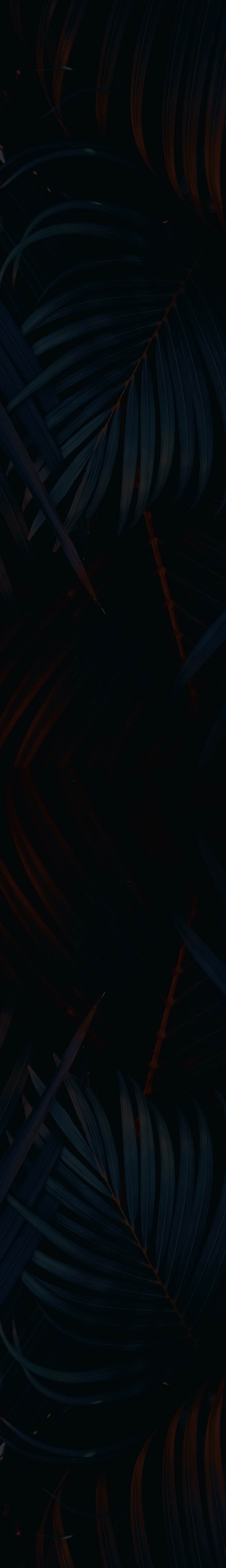 Green palm leaf pattern texture abstract background. Copy space for graphic design tropical summer and nature environment concept. Vintage tone filter effect color style.