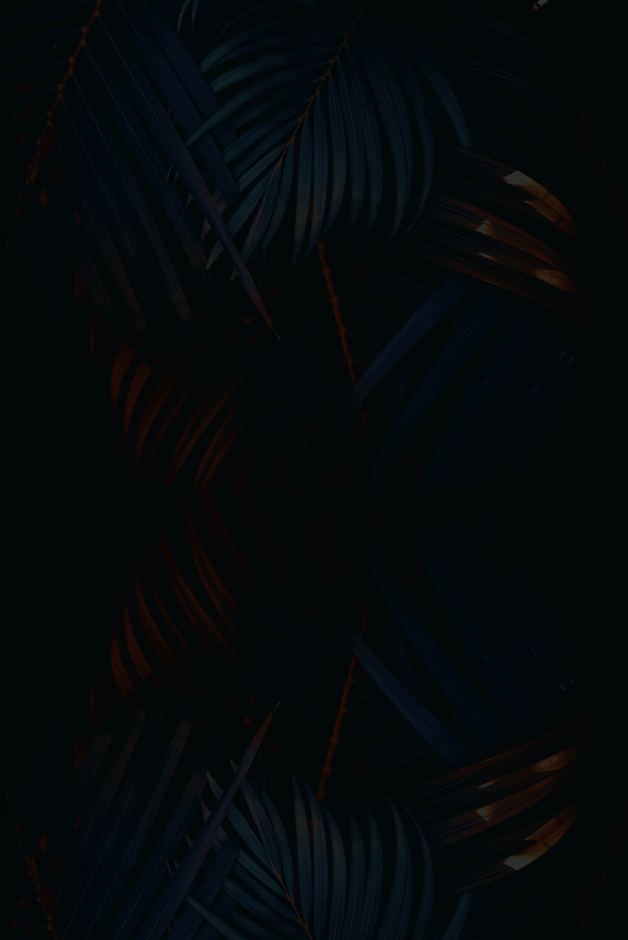 Green palm leaf pattern texture abstract background. Copy space for graphic design tropical summer and nature environment concept. Vintage tone filter effect color style.