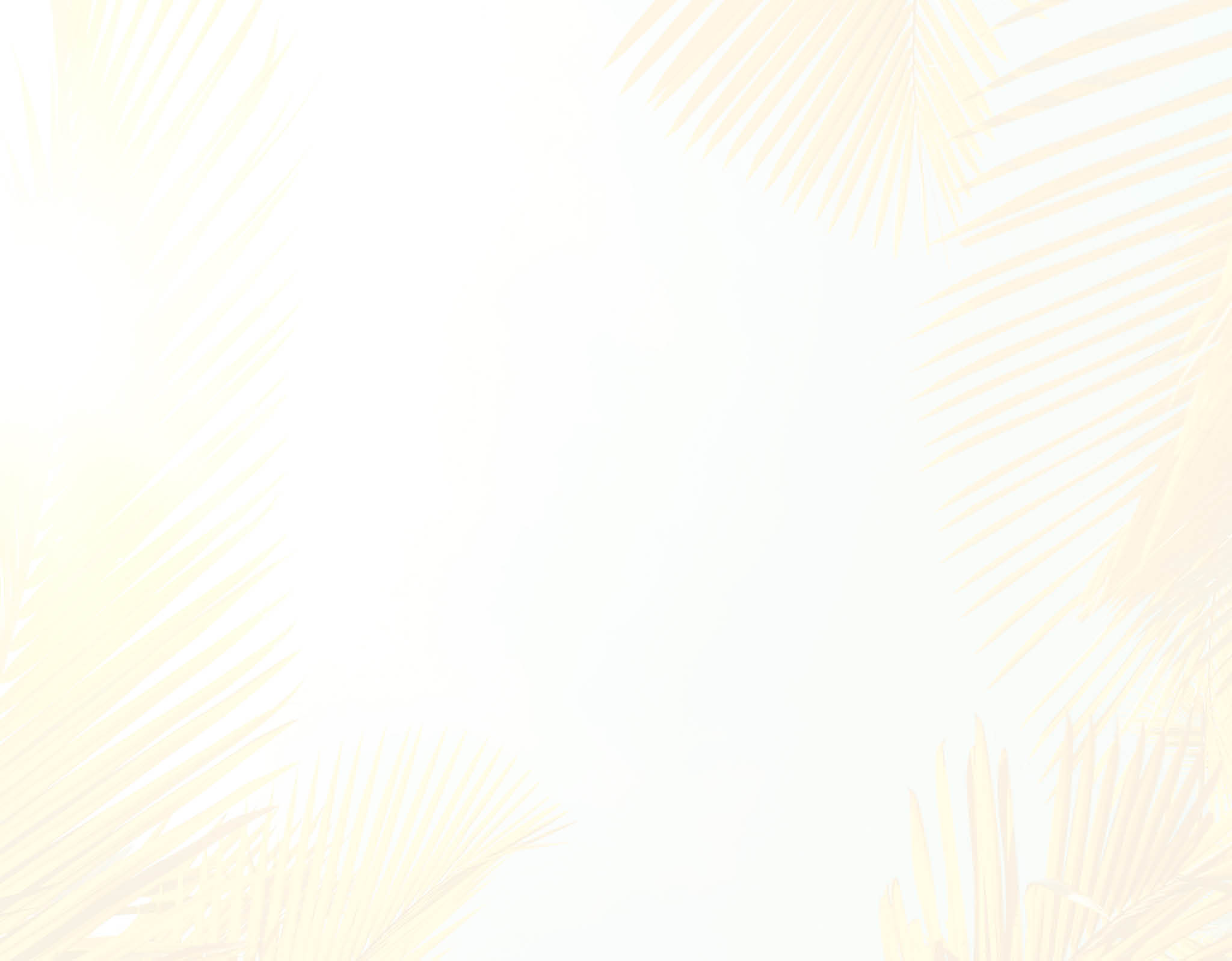 Tropical palm tree with sun light on sunset sky and cloud abstract background. Summer vacation and nature travel adventure concept. Vintage tone filter effect color style.