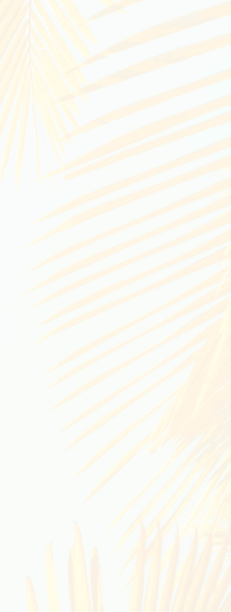 Tropical palm tree with sun light on sunset sky and cloud abstract background. Summer vacation and nature travel adventure concept. Vintage tone filter effect color style.