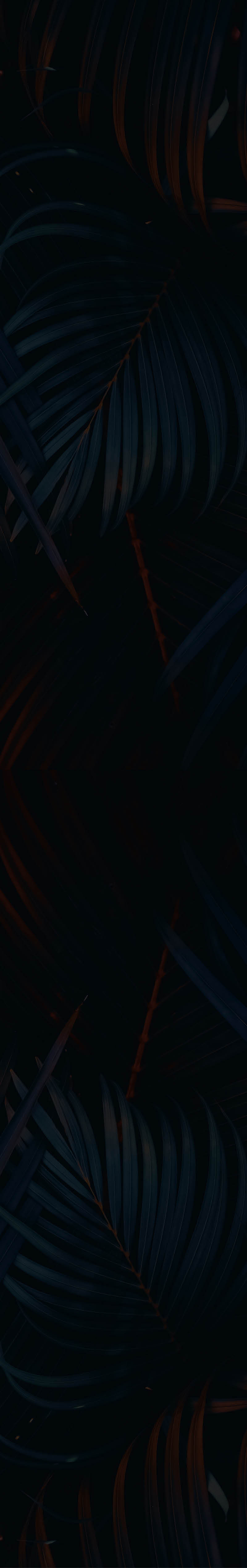 Green palm leaf pattern texture abstract background. Copy space for graphic design tropical summer and nature environment concept. Vintage tone filter effect color style.