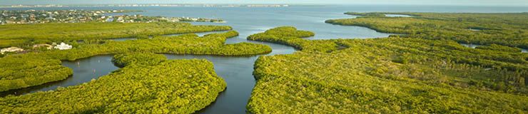 Overhead view of Everglades swamp with green vegetation between water inlets. Natural habitat of many tropical species in Florida wetlands