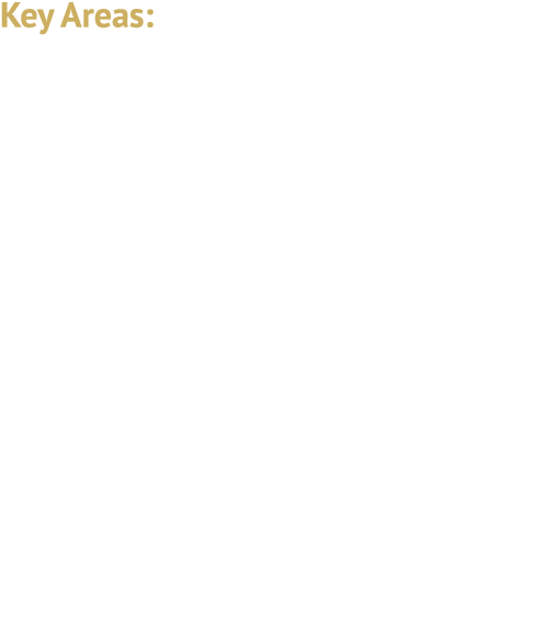 Key Areas: Artificial Intelligence (AI) Pay Transparency/Equity Leave & Accommodations Employee Agreement Restrictions 