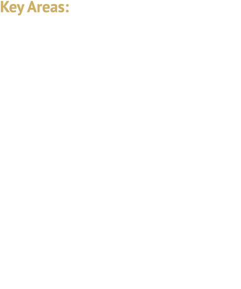 Key Areas: Different States, Different Approaches Emerging Protection Layers More Trade Secret Litigation Extraterrit...