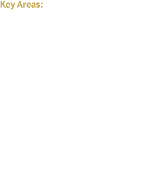 Key Areas: Corporate Plaintiffs Use of Technology in Disputes Increased Use of Mediation and Arbitration Social Media...