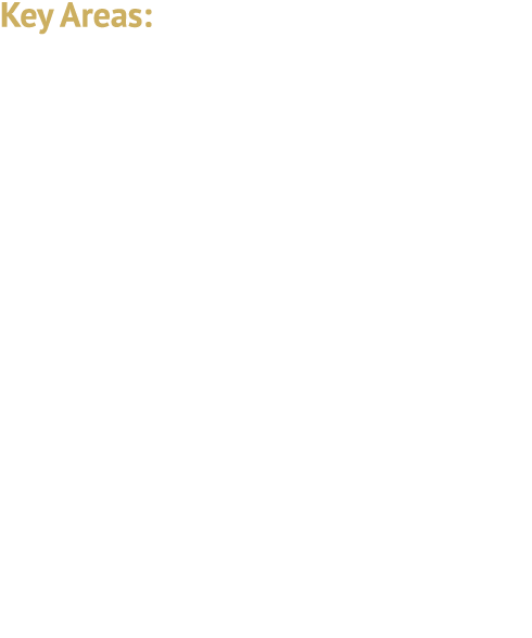 Key Areas: Tariffs and Supply Chain Impact Direct and Indirect Pressure on China Trade Agreements Economic Sanctions ...