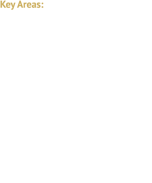 Key Areas: Digital Transformation Regulatory Compliance Shareholder Engagement and Activism 