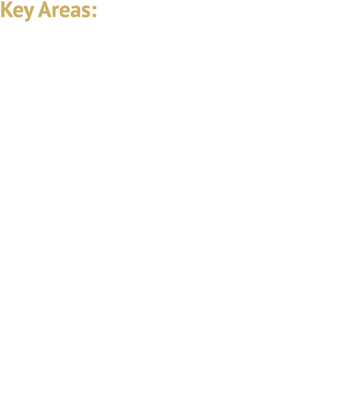 Key Areas: Drop Shipping of Infringing Goods Fraud and Phishing Scams Counterfeit Websites Civil Enforcement Actions ...