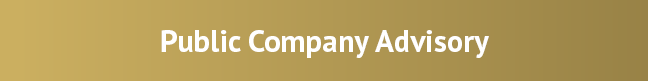Public Company Advisory