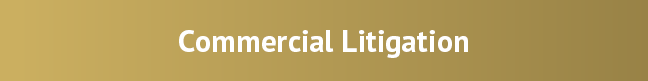 Commercial Litigation