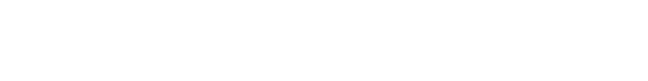International Franchise Expansion 