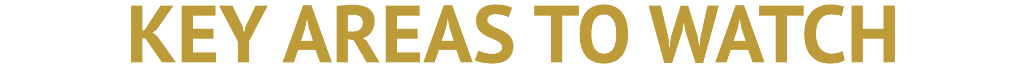 ﻿KEY AREAS TO WATCH